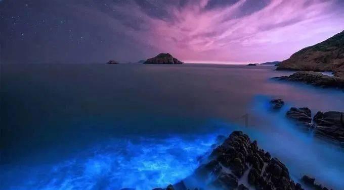 救援可爱的洋葱