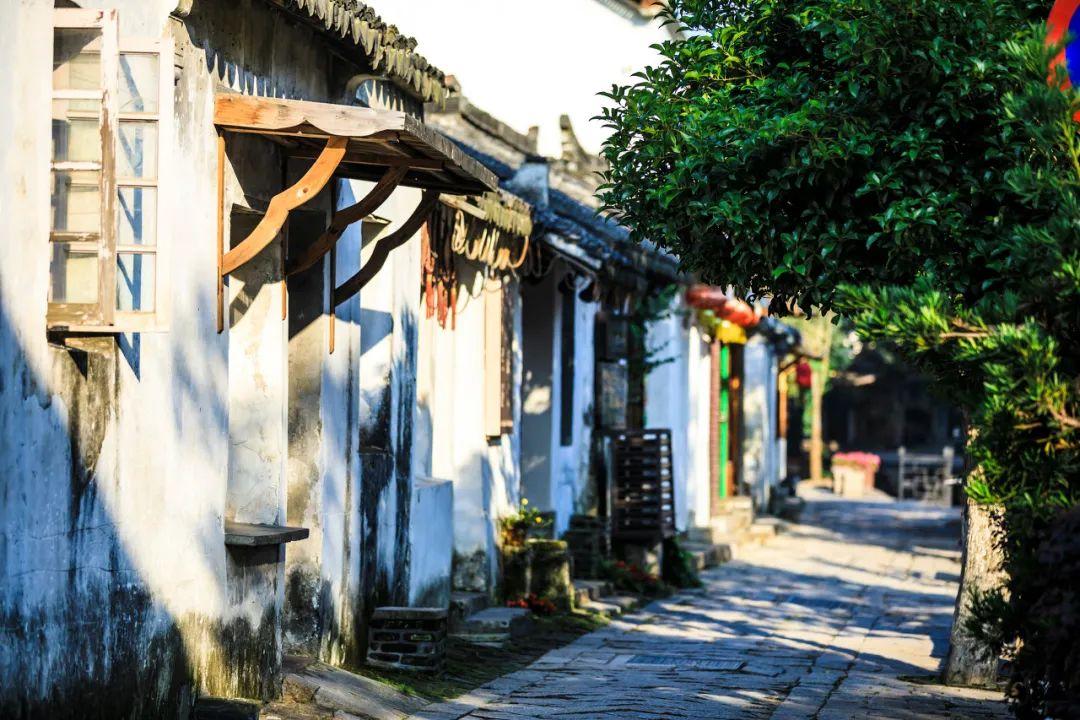 乐高都市卧底风云