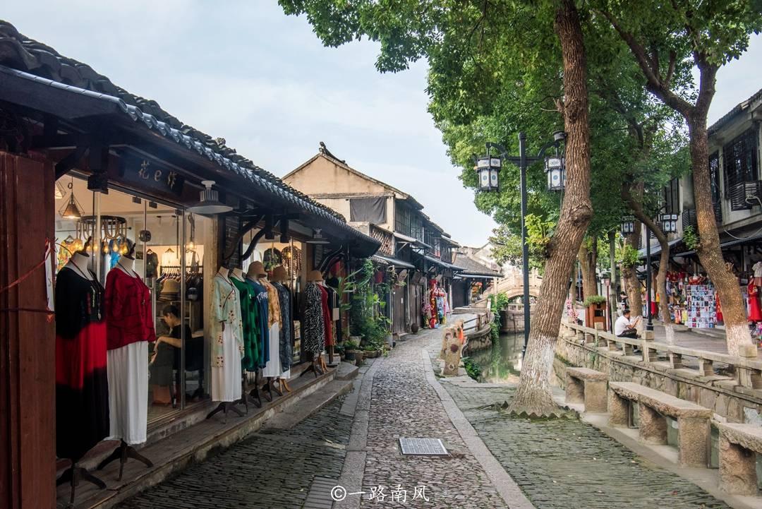 赤麻鸭现身青海门源县
